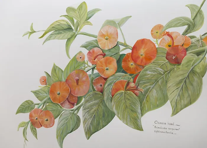 Lange Mare Szálloda 3*